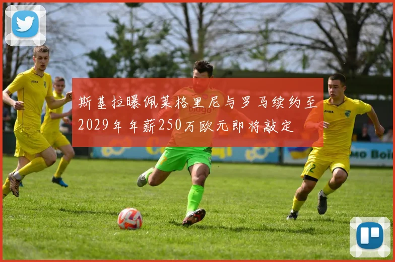 斯基拉曝佩莱格里尼与罗马续约至2029年年薪250万欧元即将敲定