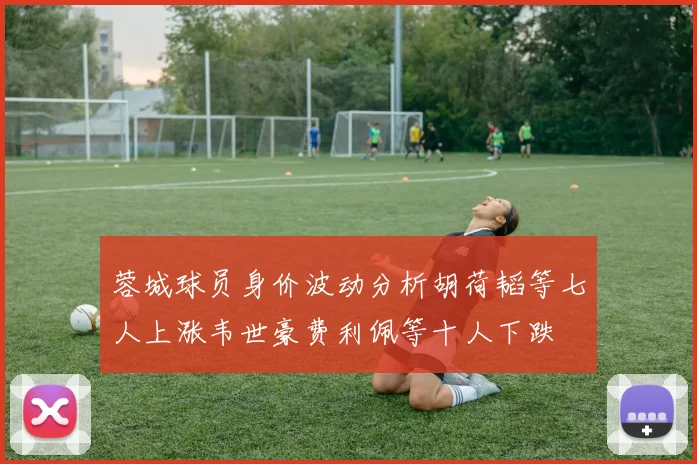 蓉城球员身价波动分析胡荷韬等七人上涨韦世豪费利佩等十人下跌